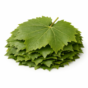 Foto de Hojas de Uva
