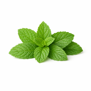 Foto de Menta